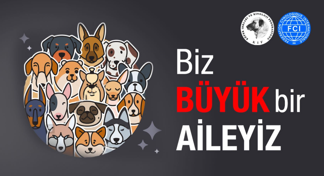 Kinolojide Yeni Dönem